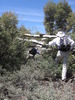 photo thumbnail #5