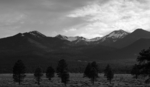 photo thumbnail #15
