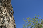photo thumbnail #8