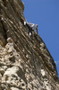 photo thumbnail #13