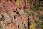 photo thumbnail #14