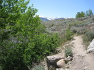 photo thumbnail #1