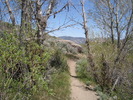 photo thumbnail #4