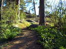 photo thumbnail #3