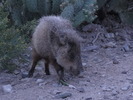 photo thumbnail #7
