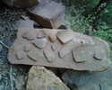 photo thumbnail #6