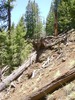 photo thumbnail #1