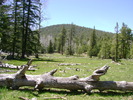 photo thumbnail #4