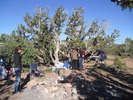 photo thumbnail #1