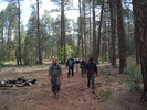 photo thumbnail #6
