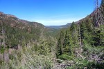 photo thumbnail #5