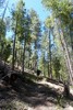 photo thumbnail #9