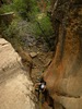 photo thumbnail #12