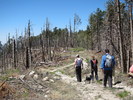 photo thumbnail #6