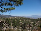 photo thumbnail #10