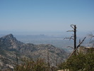photo thumbnail #11