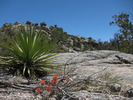 photo thumbnail #14
