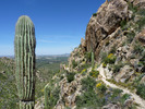 photo thumbnail #5