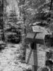 photo thumbnail #9