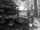 photo thumbnail #11