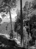 photo thumbnail #12