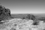 photo thumbnail #15