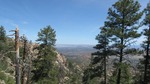 photo thumbnail #9
