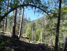 photo thumbnail #5