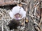 photo thumbnail #15