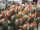 photo thumbnail #6