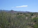 photo thumbnail #11