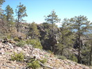 photo thumbnail #4