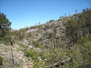 photo thumbnail #8
