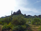 photo thumbnail #12