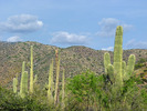 photo thumbnail #15