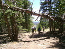 photo thumbnail #3