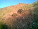photo thumbnail #3