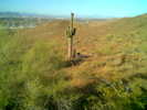 photo thumbnail #4