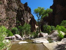 photo thumbnail #7
