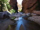 photo thumbnail #12