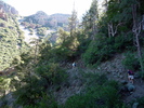 photo thumbnail #4