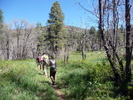 photo thumbnail #10