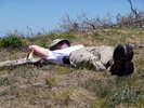photo thumbnail #13