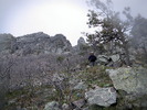 photo thumbnail #12
