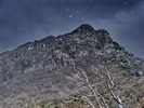 photo thumbnail #15