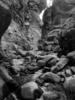 photo thumbnail #15