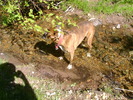 photo thumbnail #6