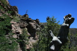 photo thumbnail #7