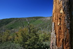 photo thumbnail #9