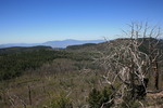 photo thumbnail #12